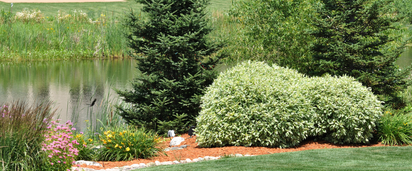 Contact us today and arrange your professional lawn care service inFort Collins, CO